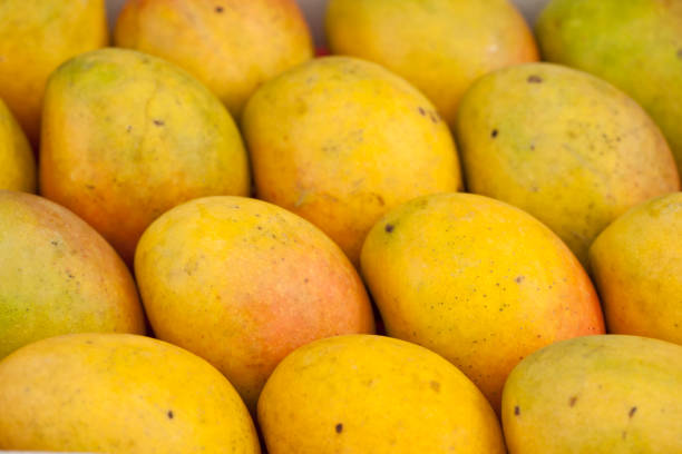 Mango, Austria, Top 4 Mango Suppliers in Austria in Quarter 3 of 2025