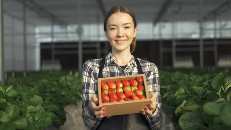 Top 7 Strawberry Suppliers in United Arab Emirates in July 2025