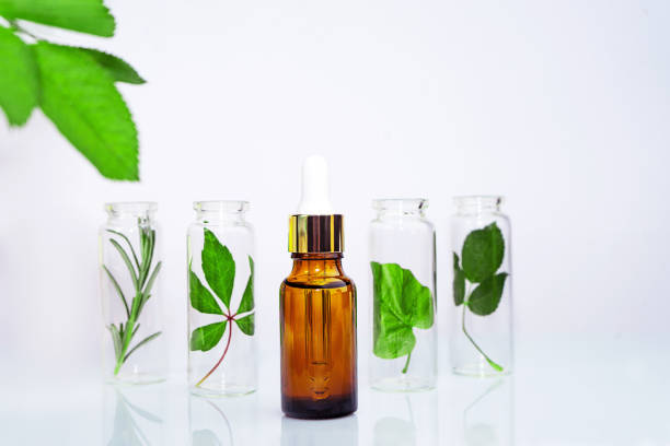 A Comprehensive Guide to Sourcing High-Quality Herbal Extract: Top 4 Herbal Extract Suppliers in China in Quarter 3 of 2025