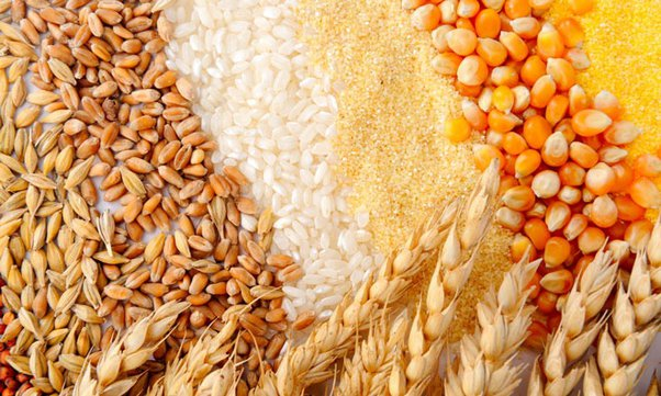 image-33 Cereal Products Western Europe Market: Innovation Hub for Health & Sustainability 2025