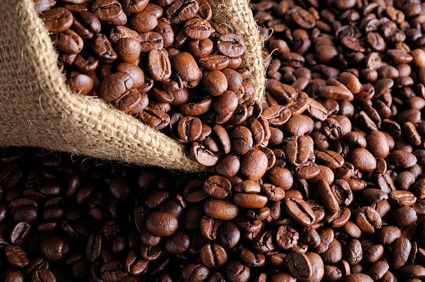 A Comprehensive Guide to Sourcing High-Quality Coffee: Top 7 Coffee Suppliers in Kenya in Quarter 3 of 2025