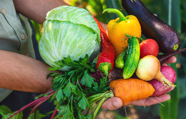 Top 3 Fresh Vegetables Suppliers in Vietnam in July 2025