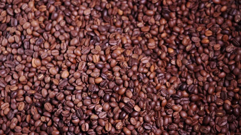 A Comprehensive Guide to Sourcing High-Quality Coffee: Top 10 Coffee Suppliers in South Africa in Quarter 3 of 2025