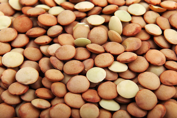 Top 9 Lentils Suppliers in United States in Year 2025