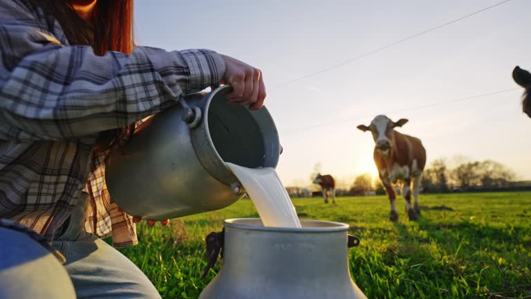 Top 5 Milk Suppliers in China in August 2025: Navigating a Shifting Dairy Landscape