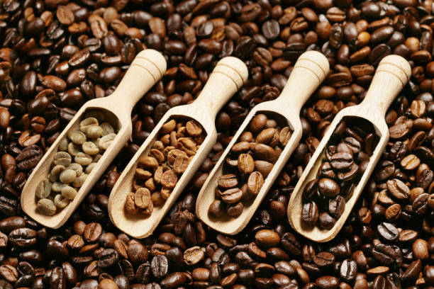Top 5 Coffee Suppliers in Indonesia in Quarter 3 of 2025