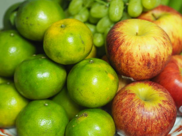 Top 10 Fruits Suppliers in Sri Lanka in Year 2025: Data-Driven Insights for Smart Sourcing