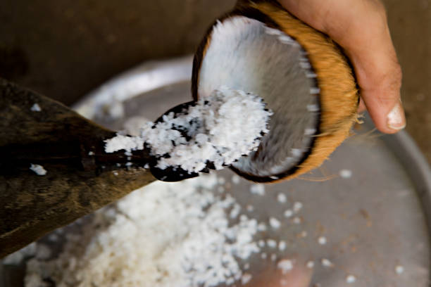 Top 8 Desiccated Coconut Suppliers in Indonesia in July 2025: Urgent Market Update & Exporter Insights