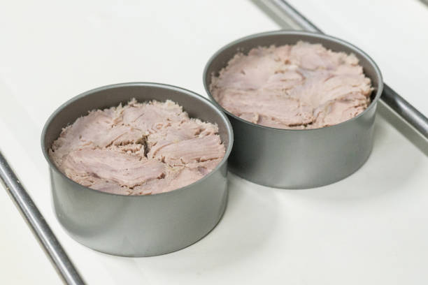 Top 7 Tuna Suppliers in Portugal in July 2025: A Data-Driven Guide to the Portuguese Tuna Export Market