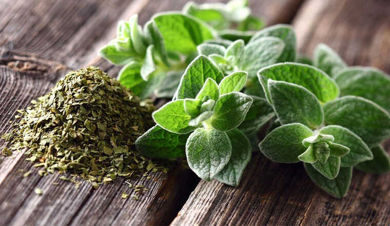 image-5 The Ultimate Antioxidant Champions: Uncovering Nature's Most Powerful Disease-Fighting Foods