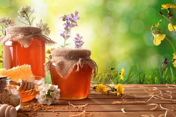 Top 8 Honey Suppliers in Bangladesh in Year 2025: Export Trends & Market Insights