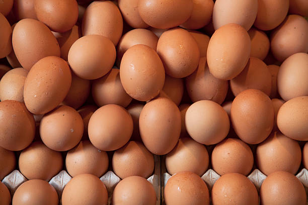 Top 4 Chicken Eggs Suppliers in Brazil in Quarter 3 of 2025