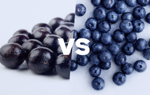 The Ultimate Antioxidant Champions: Uncovering Nature’s Most Powerful Disease-Fighting Foods