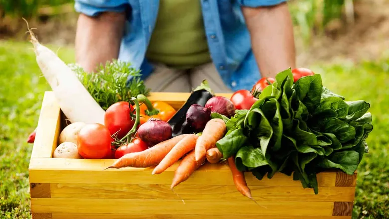 image Freshdi’s Global Vegetables Market Report Q2/2025 - Unlocking Growth at the Crossroads (P2)