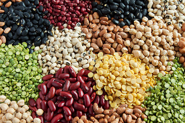 istockphoto-637856490-612x612-1 The Protein Powerhouse: How Nuts Revolutionize Vegetarian and Traditional Diets