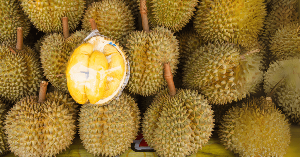 many-durians-with-one-opened-showing-durian-fruit-1024x538-1 The Durian Dynasty: How the "King of Fruits" Became a Global Commodity Worth Billions