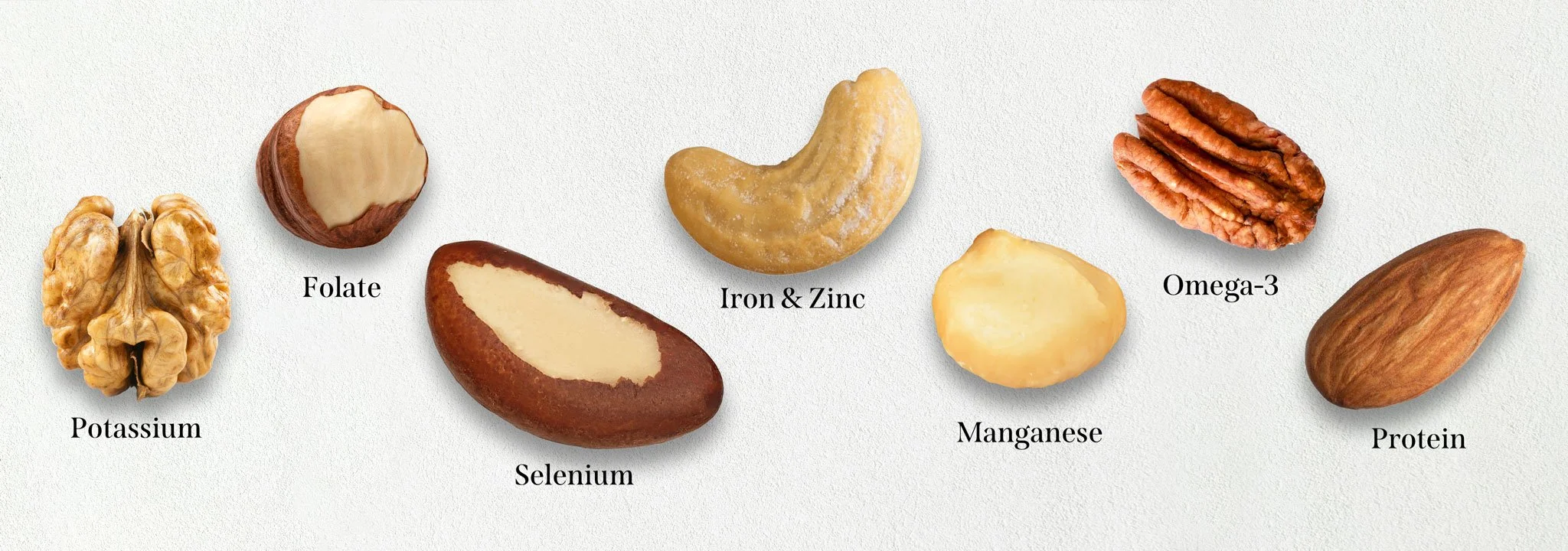 nutty-guide-to-health-page-banner The Protein Powerhouse: How Nuts Revolutionize Vegetarian and Traditional Diets