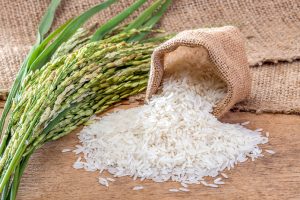 Thailand’s Agricultural Processed Products: Export Success Stories and Market Leadership