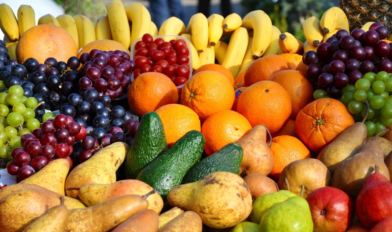 Freshdi’s US Fruit Market Analysis: Q2 2025 Results and Insight