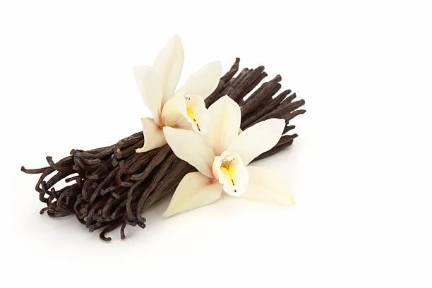 Top 6 Vanilla Suppliers in Portugal in Quarter 3 of 2025