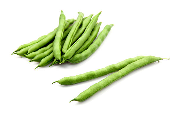 Top 5 Beans Suppliers in Malaysia in Quarter 3 of 2025: Urgent Market Update