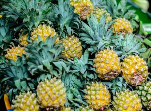 Top 10 Pineapple Suppliers in China in Quarter 3 of 2025