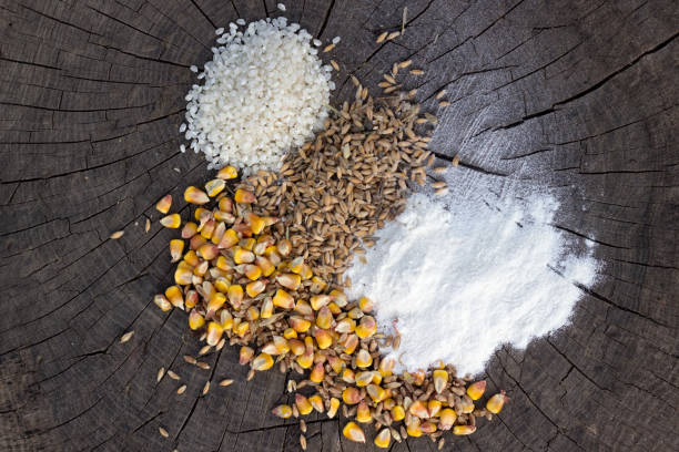 Top 4 Starch Suppliers in Canada in August 2025