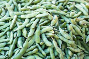 Top 3 Soybean Suppliers in United States in Year 2025: Navigating a Fast-Changing Market