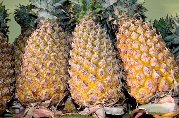 Top 10 Pineapple Suppliers in United Arab Emirates in Quarter 3 of 2025