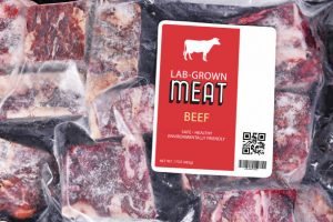 Top 6 Frozen Beef Suppliers in Germany in September 2025