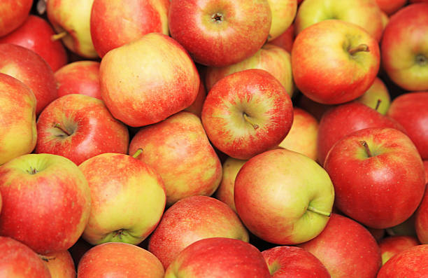 Top 6 Apple Suppliers in China in September 2025: Data-Driven Choices Based on Export Performance