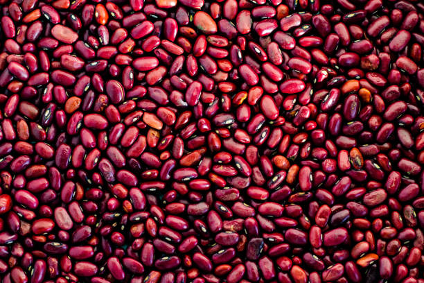 A Comprehensive Guide to Sourcing High-Quality Kidney Beans: Top 9 Kidney Beans Suppliers in Ukraine in Quarter 3 of 2025
