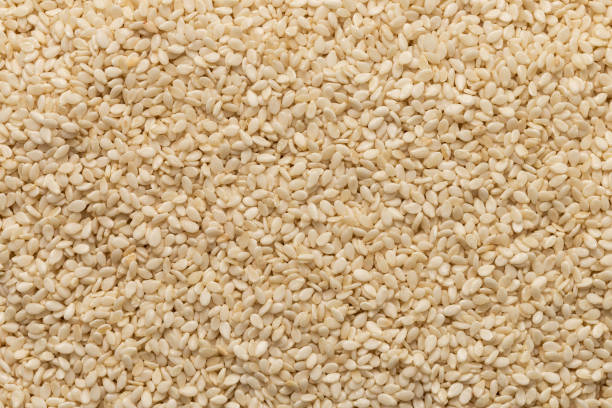 A Comprehensive Guide to Sourcing High-Quality Sesame Seeds: Top 6 Sesame Seeds Suppliers in Bangladesh in Year 2025