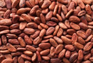 Top 10 Cocoa Beans Suppliers in South Africa in Quarter 3 of 2025