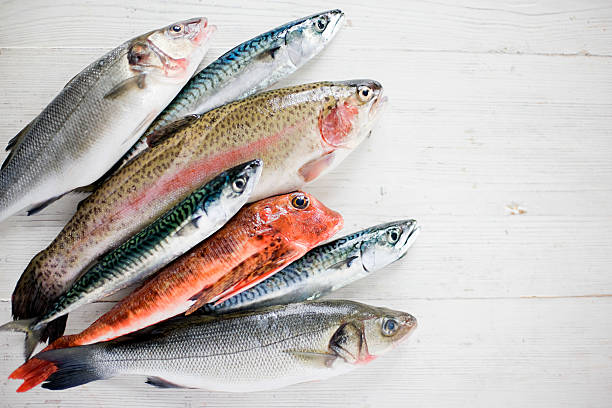 Top 10 Fish Suppliers in Bangladesh in August 2025: A Data-Driven Market Outlook