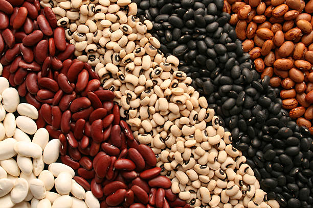 Your Expert Guide to Procuring Top-Tier Beans: Top 6 Beans Suppliers in Ukraine in Year 2025