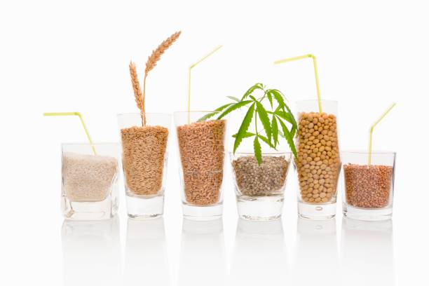 Top 3 Agriculture Food Beverage Suppliers in Pakistan in September 2025