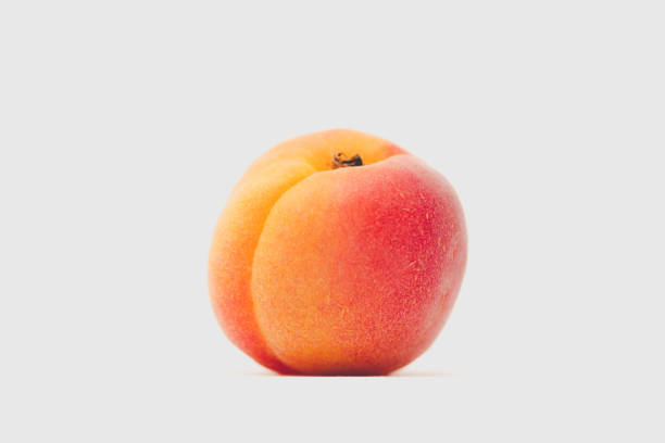 Top 6 Apricot Suppliers in Vietnam in August 2025 – Market Insights & Strategic Guide