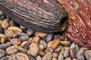 Top 9 Cocoa Beans Suppliers in India in Quarter 3 of 2025