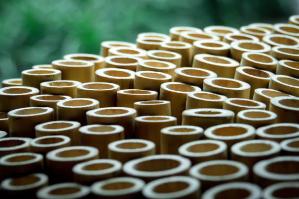 Your Expert Guide to Procuring Top-Tier Bamboo: Top 5 Bamboo Suppliers in United Arab Emirates in August 2025
