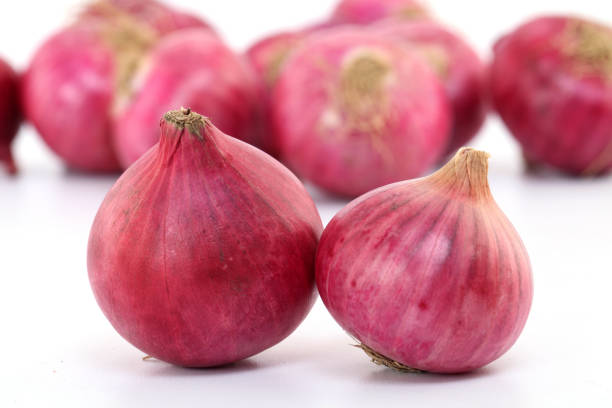 Top 9 Fresh Onion Suppliers in Bangladesh in Quarter 3 of 2025