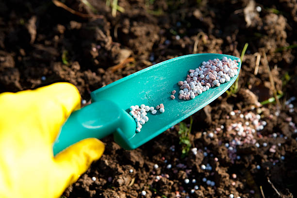 A Comprehensive Guide to Sourcing High-Quality Fertilizers: Top 5 Fertilizer Suppliers in United Arab Emirates in Quarter 3 of 2025