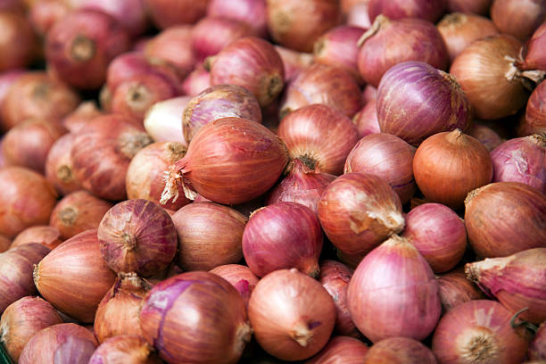 Your Expert Guide to Procuring Top-Tier Fresh Onion: Top 6 Fresh Onion Suppliers in United States in Year 2025