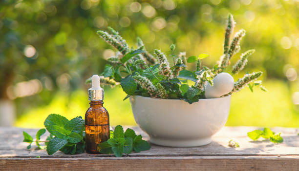 Top 8 Herbal Extract Suppliers in Netherlands in August 2025