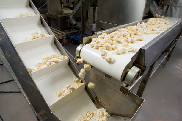 Top 3 Food Processing Machinery Suppliers in Sri Lanka in Quarter 3 of 2025