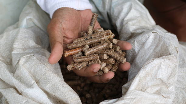 Your Expert Guide to Procuring Top-Tier Wood Pellets: Top 8 Wood Pellets Suppliers in Austria in Year 2025