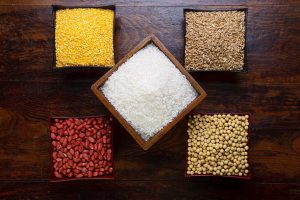 Top 7 Grain Suppliers in Brazil in October 2025