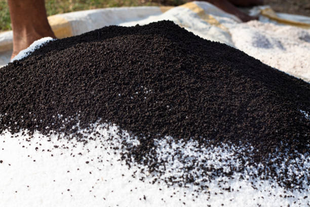 Top 6 Fertilizer Suppliers in Sri Lanka in Quarter 3 of 2025