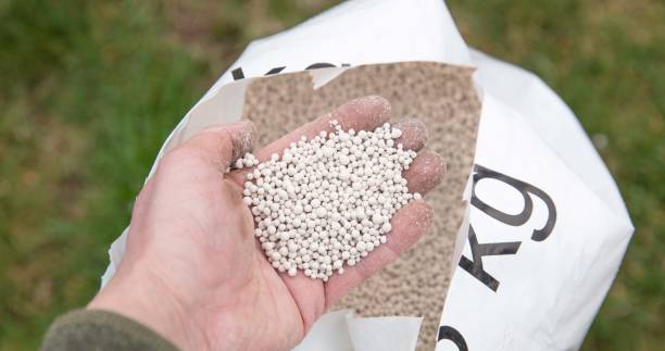 Your Expert Guide to Procuring Top-Tier Compound Fertilizer Equipment: Top 8 Compound Fertilizer Equipment Suppliers in India in Year 2025