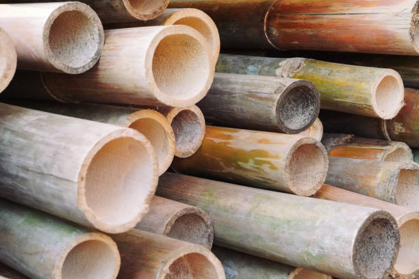 Top 5 Bamboo Products Suppliers in Turkey in Year 2025